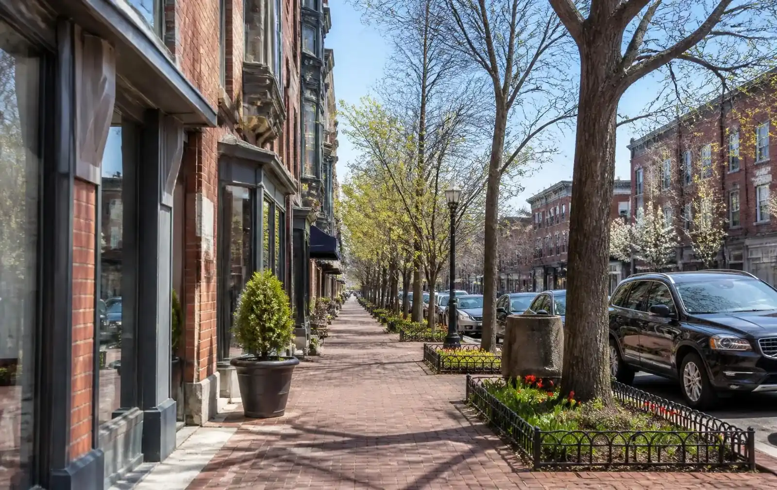Brick storefronts and tree-lined sidewalk in Newton Centre, MA